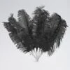 Large 7 Feather Fan (Black)