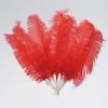 Large 7 Feather Fan (Red)