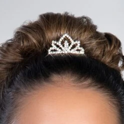 1st Position Sparkle Ombré Ballet Dress With Tulle Petal Trim -Cheap Fit Dance Wear Store cobd0034 5