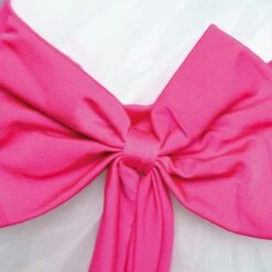 1st Position Scoop Neck Net Overlay Romantic Tutu With Contrasting Bow Trim -Cheap Fit Dance Wear Store fpc23042 whiteneonpink 6